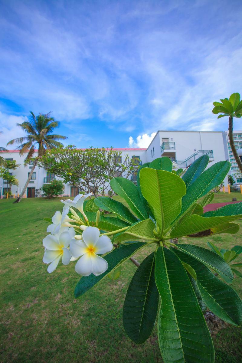 Garden Villa Hotel Тумон Экстерьер фото