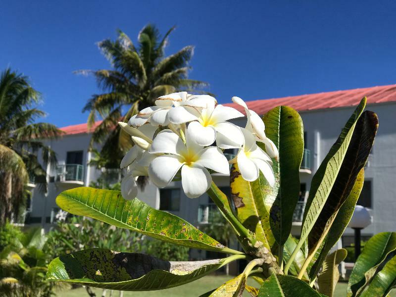 Garden Villa Hotel Тумон Экстерьер фото